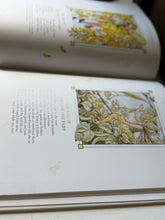 Load image into Gallery viewer, The Complete Book of The Flower Fairies