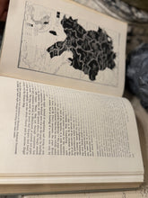 Load image into Gallery viewer, The Middles Ages, 395-1500 Book