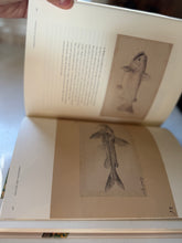 Load image into Gallery viewer, Voyages Of Discovery Book