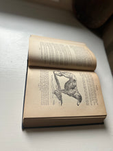 Load image into Gallery viewer, The Complete Dog Book