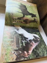 Load image into Gallery viewer, The Imperial Horse Lipizzaners Book