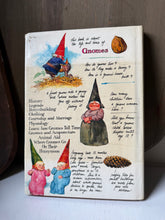 Load image into Gallery viewer, Gnomes Book