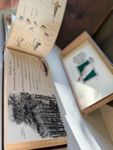 Load image into Gallery viewer, Muriel Foster's Fishing Diary