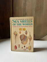 Load image into Gallery viewer, Sea Shells of the World Book
