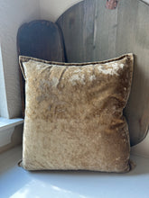 Load image into Gallery viewer, Crushed Velvet Pillow
