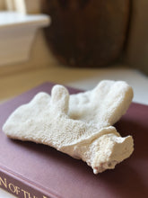 Load image into Gallery viewer, Vintage White Catspaw Coral
