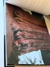 Load image into Gallery viewer, Tree A New Vision of The American Forest Book
