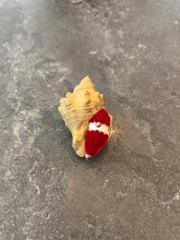 Load image into Gallery viewer, Vintage Gold Shell Pin Holder
