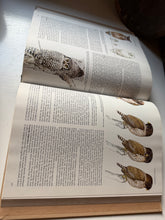 Load image into Gallery viewer, Birds Their Life-Their Ways-Their World Book
