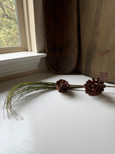 Load image into Gallery viewer, Long Needle Pine Stem
