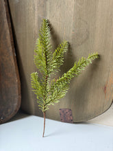 Load image into Gallery viewer, Small Pine Stem

