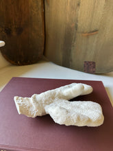 Load image into Gallery viewer, Vintage White Catspaw Coral
