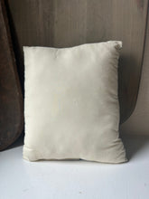 Load image into Gallery viewer, Book Pillow
