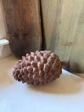 Load image into Gallery viewer, XL Pinecone
