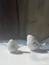 Load image into Gallery viewer, Glittery Snow Bird Set
