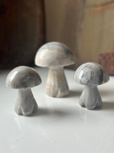 Load image into Gallery viewer, Collection of Alabaster Mushrooms
