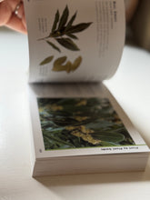 Load image into Gallery viewer, The Little Guides Herbs Book

