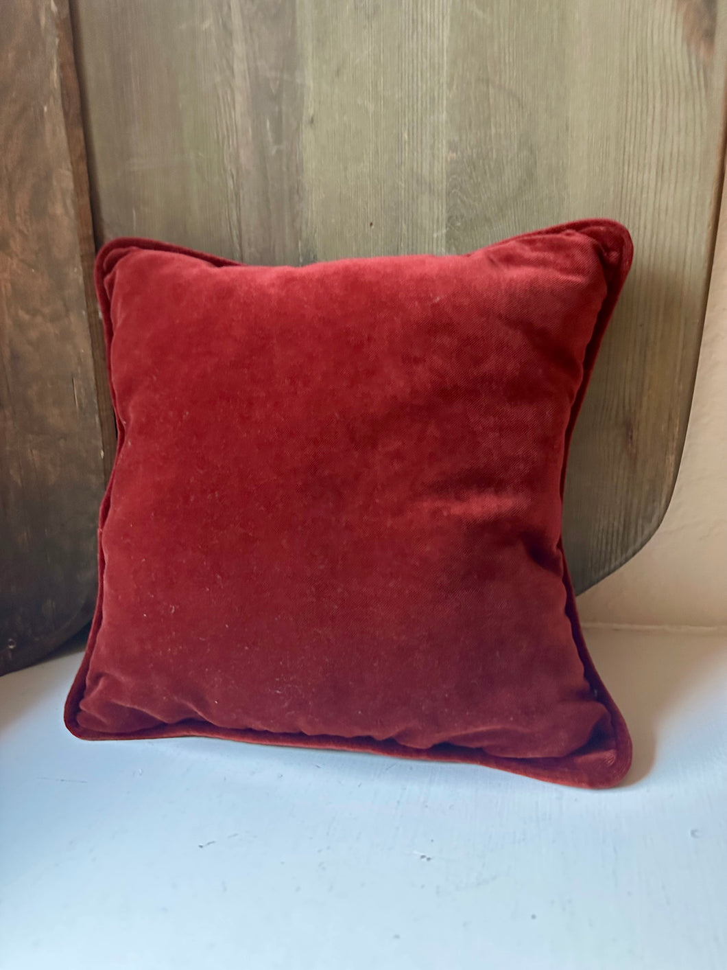 Square Velvet Pillow