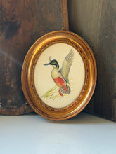 Load image into Gallery viewer, E. Serton Wild Duck Lithograph
