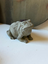 Load image into Gallery viewer, Concrete Frog
