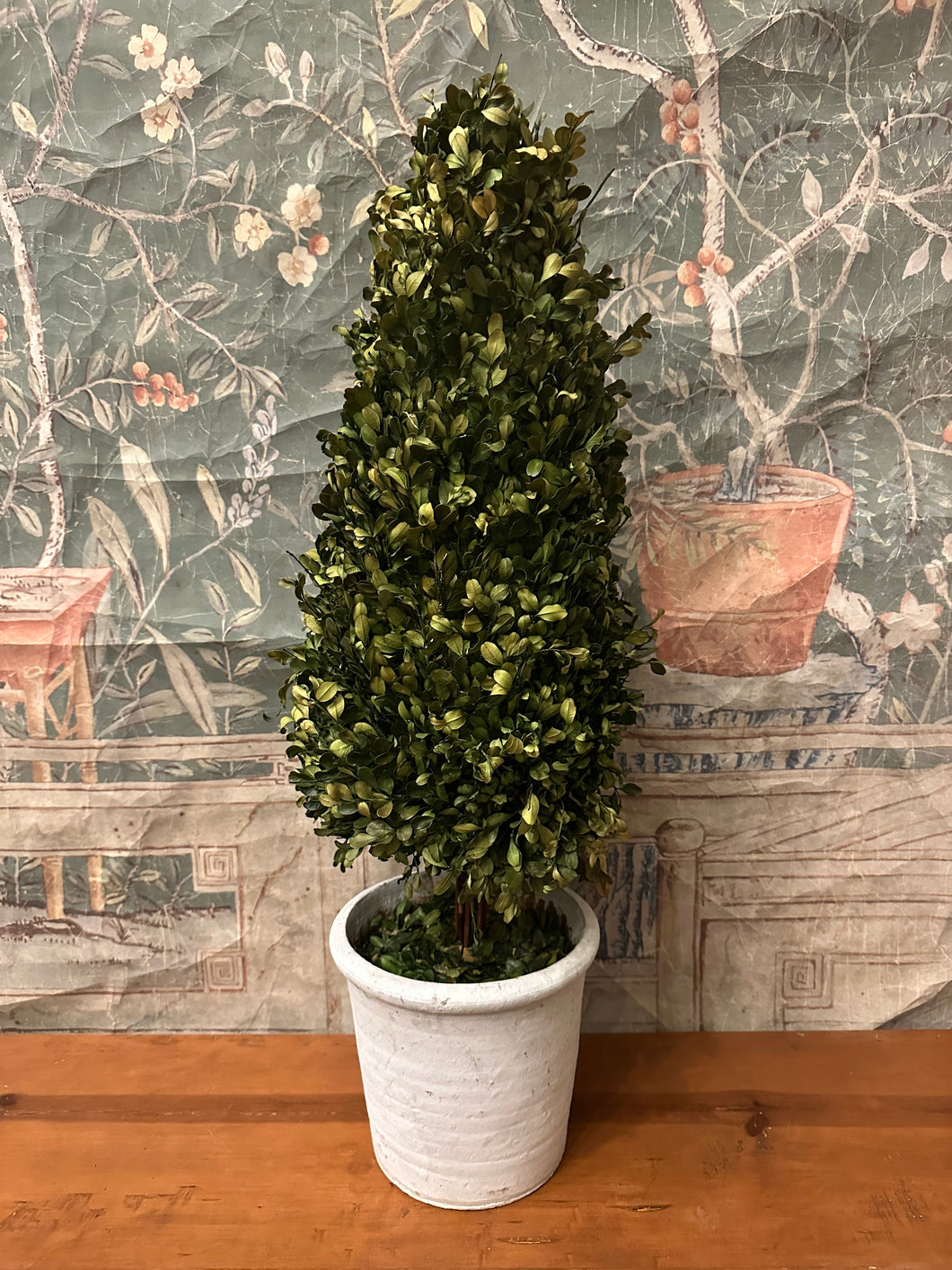 Dried Boxwood Cone Topiary