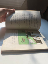Load image into Gallery viewer, Fifty Flags And Other Stories Book

