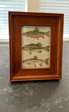 Load image into Gallery viewer, Framed Trout Art
