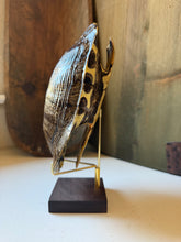 Load image into Gallery viewer, Turtle Shell on Stand
