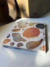 Load image into Gallery viewer, Pond Lake River Sea Book
