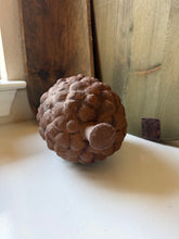Load image into Gallery viewer, XL Pinecone

