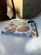 Load image into Gallery viewer, Pond Lake River Sea Book
