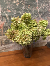 Load image into Gallery viewer, Bundle of Dried Limelight Florals
