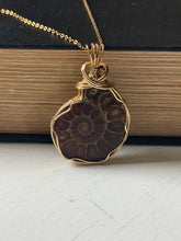 Load image into Gallery viewer, Artisan Wrapped Ammonite Fossil Pendant Necklace
