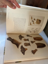 Load image into Gallery viewer, Voyages Of Discovery Book
