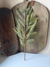 Load image into Gallery viewer, Large Pine Stem
