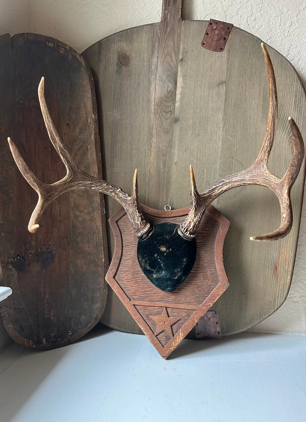 Antique Antler Mount