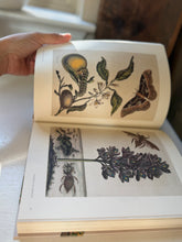 Load image into Gallery viewer, Voyages Of Discovery Book
