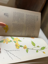 Load image into Gallery viewer, The Illustrated Guide to Ornamental Shrubs
