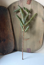 Load image into Gallery viewer, Dark Green Pine Stem
