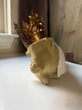 Load image into Gallery viewer, Agnus Dei
