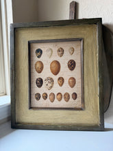 Load image into Gallery viewer, Large Framed Egg Art
