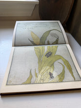 Load image into Gallery viewer, Utamaro Songs of The Garden
