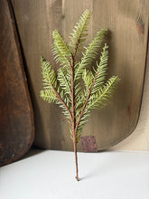 Load image into Gallery viewer, Medium Pine Stem
