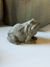 Load image into Gallery viewer, Concrete Frog

