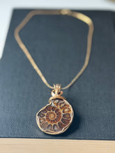 Load image into Gallery viewer, Artisan Wrapped Ammonite Fossil Pendant Necklace
