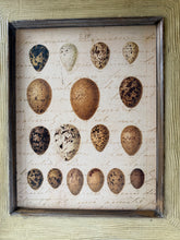 Load image into Gallery viewer, Large Framed Egg Art
