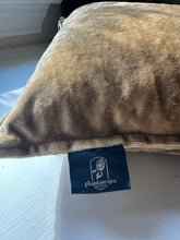 Load image into Gallery viewer, Crushed Velvet Pillow
