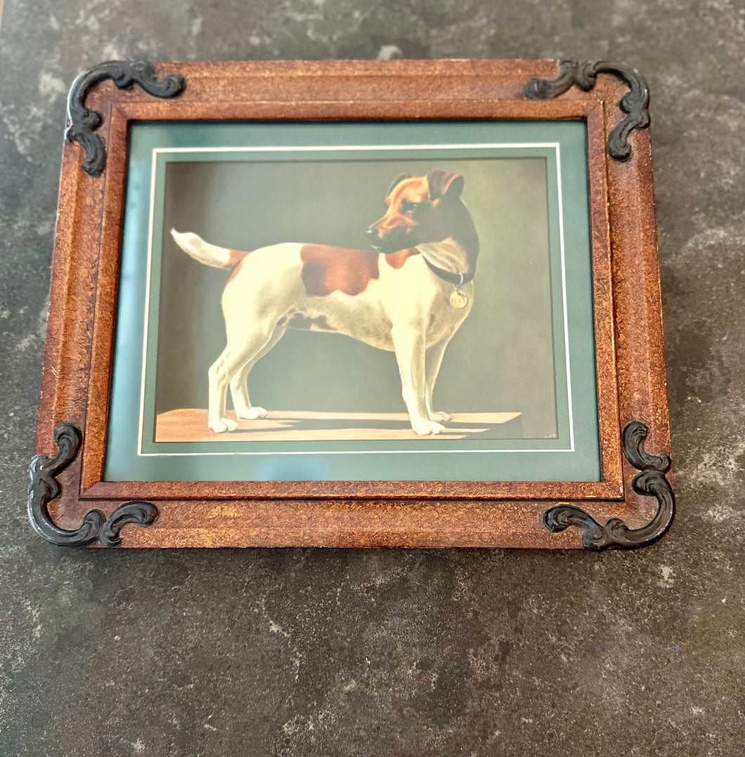 Framed Dog Portrait
