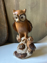 Load image into Gallery viewer, Owl Family
