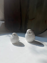 Load image into Gallery viewer, Glittery Snow Bird Set
